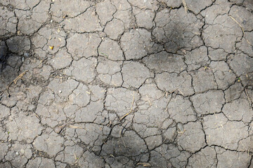 Gray drought cracked earth for background