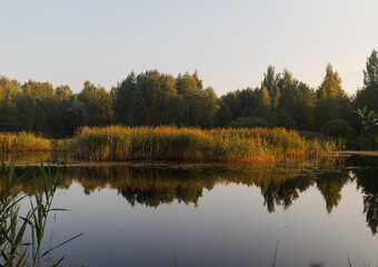 Sunny evening in Moscow oblast, Russia, Noginsk area. Lake. reflections in water. Sun's rays illuminate the trees