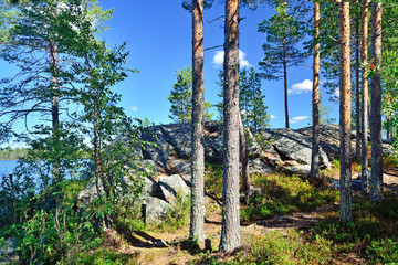 Karelian landscape - rocks, pine trees and water. The shore of Lake Pongoma, Northern Karelia, Russia