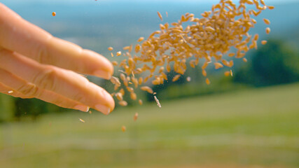 CLOSE UP Unrecognizable female farmer sows seeds in the scenic green countryside