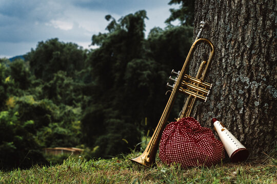 Traveling Jazz Trumpet Musician