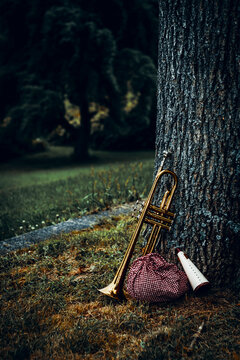 Traveling Jazz Trumpet Musician