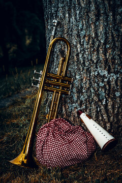 Traveling Jazz Trumpet Musician
