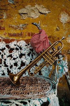 Traveling Jazz Trumpet Musician