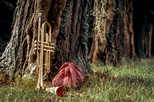 Traveling Jazz Trumpet Musician