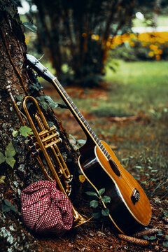 Traveling Trumpet Ukulele Musician