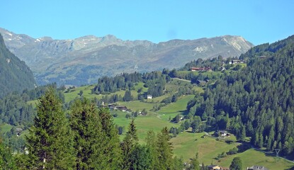 Apls valley
