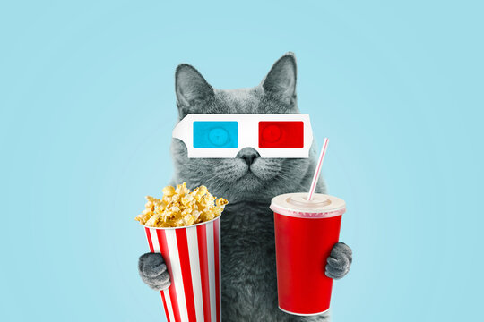 Funny Hipster Cat In 3D Stereo Glasses Eating Popcorn And A Drinks Coke At The Movies On A Blue Background.