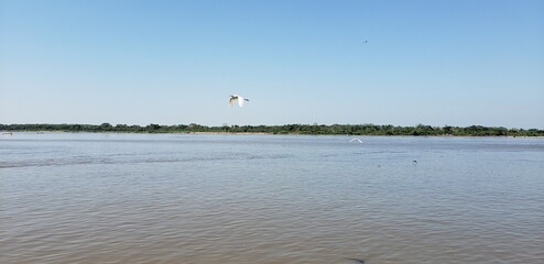 Naklejka premium river