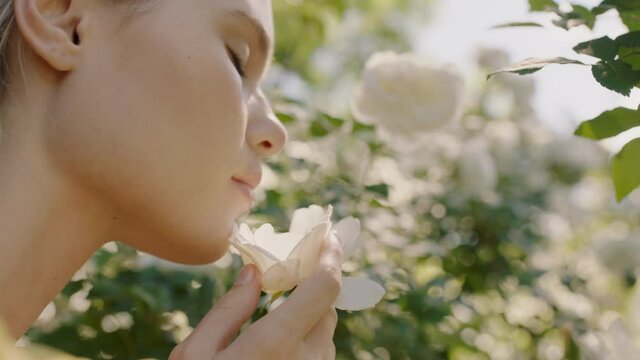 beautiful woman smelling roses in blossoming rose garden enjoying natural scent 