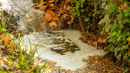 Small waterfall of a stream and its vegetation autumnal