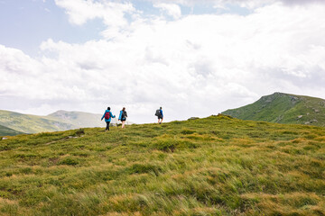 mountain hiking concept. vacation in the mountains. three people walking on top of a mountain