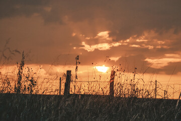 Fototapeta na wymiar fenceline sunset