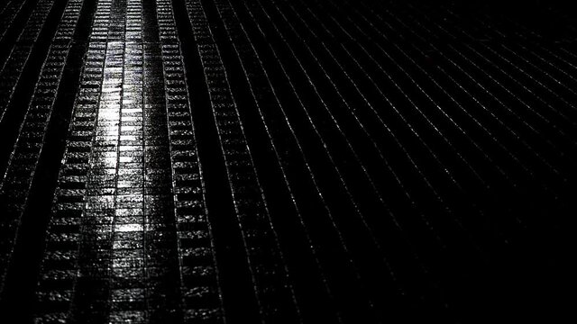 Tokyo,Japan - September 2, 2021: Falling rain on brick tiles at night
