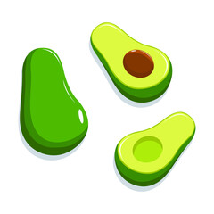 illustration of avocado fruit on the white background