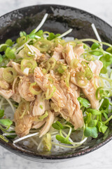 ササミの葱タレ丼
