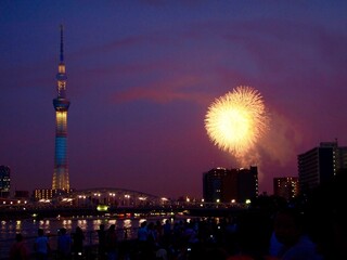 Tokyo Skytree and firework at night in the summer