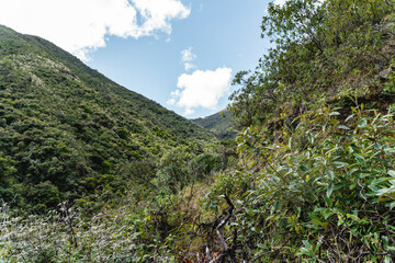 Typical mountain of the Andes, with a semi-clear and semi-cloudy sky, you can see rocks, plants, especially the straw grass that covers the hills.