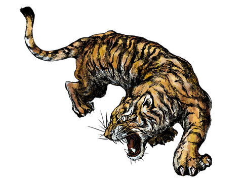 Asian style simple tiger painting