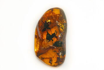Piece of original amber from Mexico