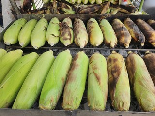Grilled corn on a hot stove.