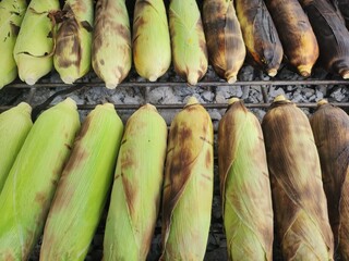 Grilled corn on a hot stove.