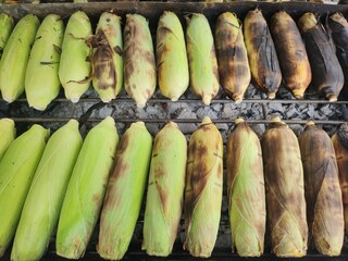 Grilled corn on a hot stove.