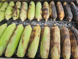 Grilled corn on a hot stove.