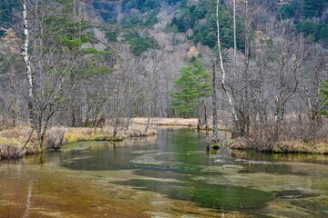 静寂に包まれた田代池の情景＠上高地、長野