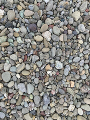 vertical closeup view of pebble stone rocks along water ocean sea shore path