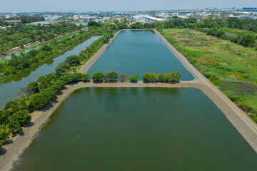 Aerial view from flying drone of Fish pond, fish farm
