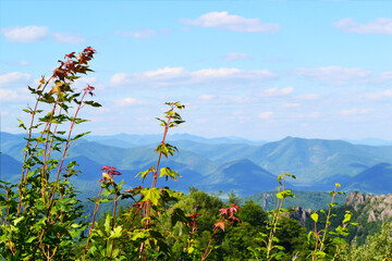 The beautiful landscape from the hill