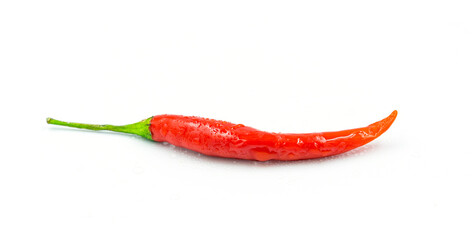 red chili on white background, pepper, paprika
