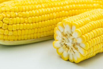 fresh corn on white background
