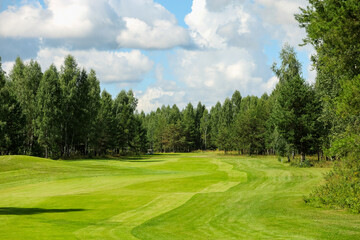 Golf course, landscape, green grass on the background of the forest and a bright sky with clouds. High quality photo
