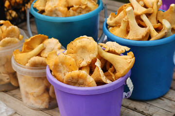 market chanterelles 