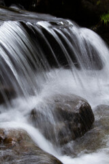 Fototapeta premium 滝 赤目の四十八滝