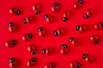 Red ladybugs on a red background. Cute and amazing ladybugs.