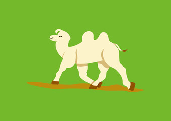 White camel and green background vector illustration