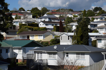 Housing stock on a hillside in Birkdale, Auckland, New Zealand
