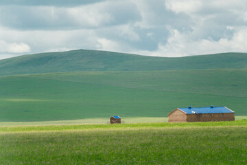 The summer landscape of the grassland in Hulunbuir, Inner Mongolia, China. - obrazy, fototapety, plakaty