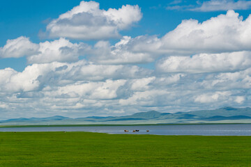 Fototapeta na wymiar The summer landscape of the grassland in Hulunbuir, Inner Mongolia, China.