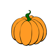 Vector color pumpkin in flat style, isolated. Symbol Halloween, autumn, crop, thanksgiving day, fruitful year