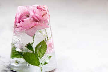 Pink roses encased in ice;  Pink roses frozen in ice with interesting ice crystal patterns