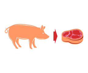Pig and a piece of meat on a white background, vector illustration