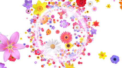 Star Flower Mix Glitter Sparkling Particles Fireworks sparkle 3D illustration.