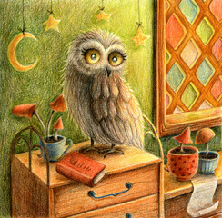 Fantasy owl, cup, mushrooms, witch's room and book. Hand drawn colored pencils illustration.