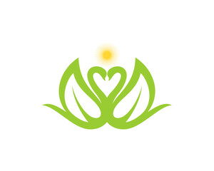 Swan head to head with nature leaf wings