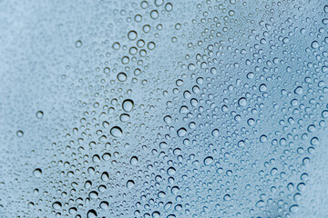 車の塗装にはじかれた水滴　ワックス　洗車　雨