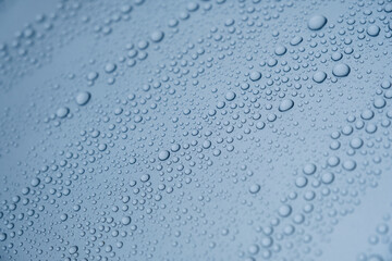 車の塗装にはじかれた水滴　ワックス　雨